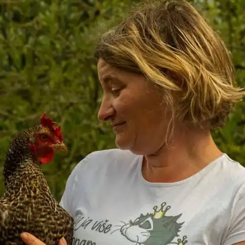 Nezavisna lista Naprid Vis